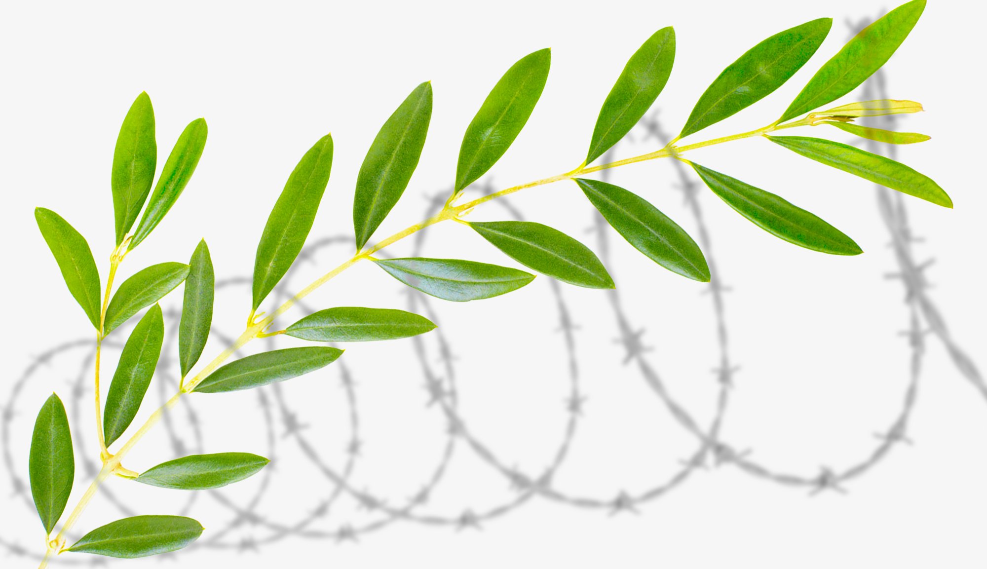 Graceful Engagement Instead of Resistance Graceful Engagement Instead of Resistance